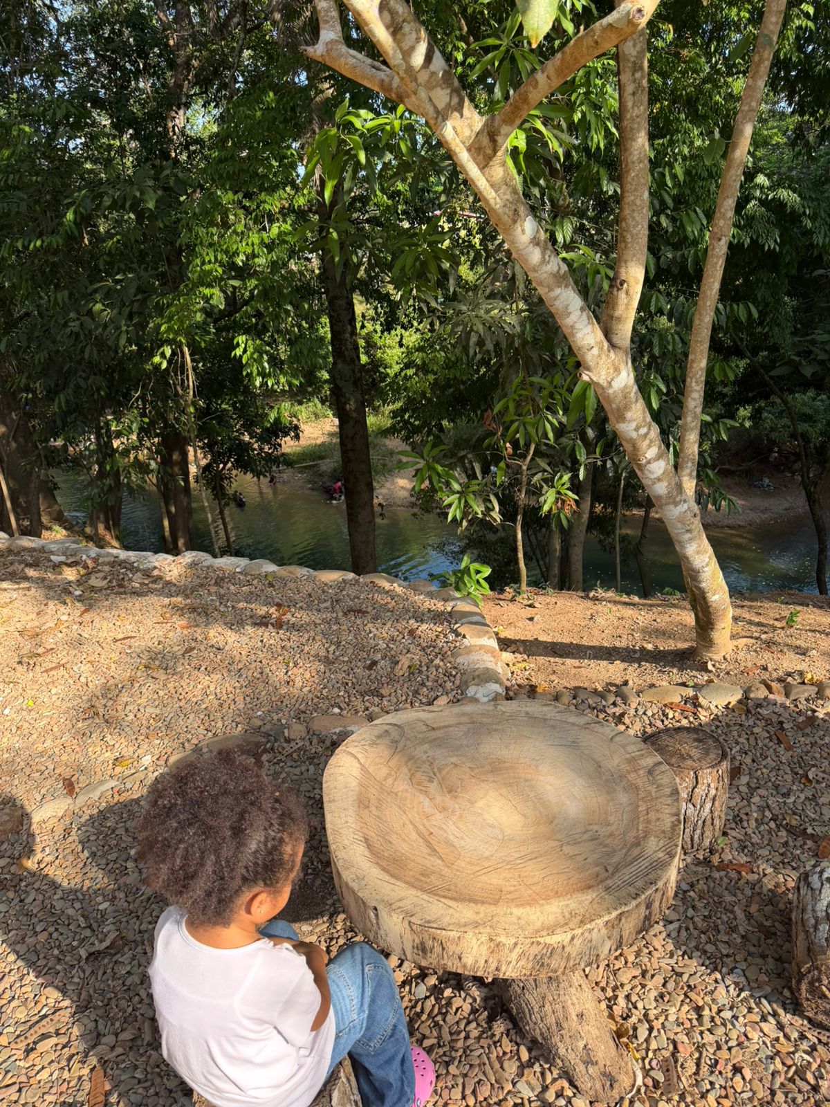 Tillett’s Nature Reserve and Getaway photo 2