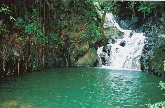 Billy Barquedier National Park photo 2