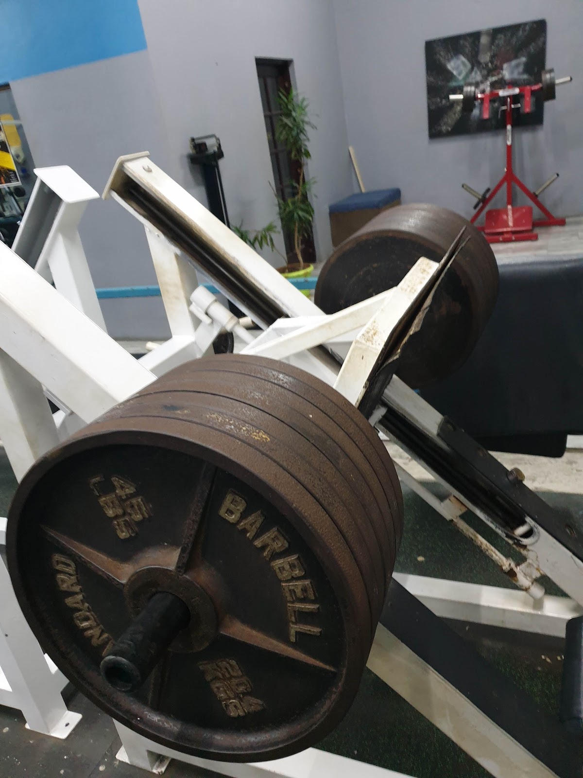 Body2000 Gym photo 6