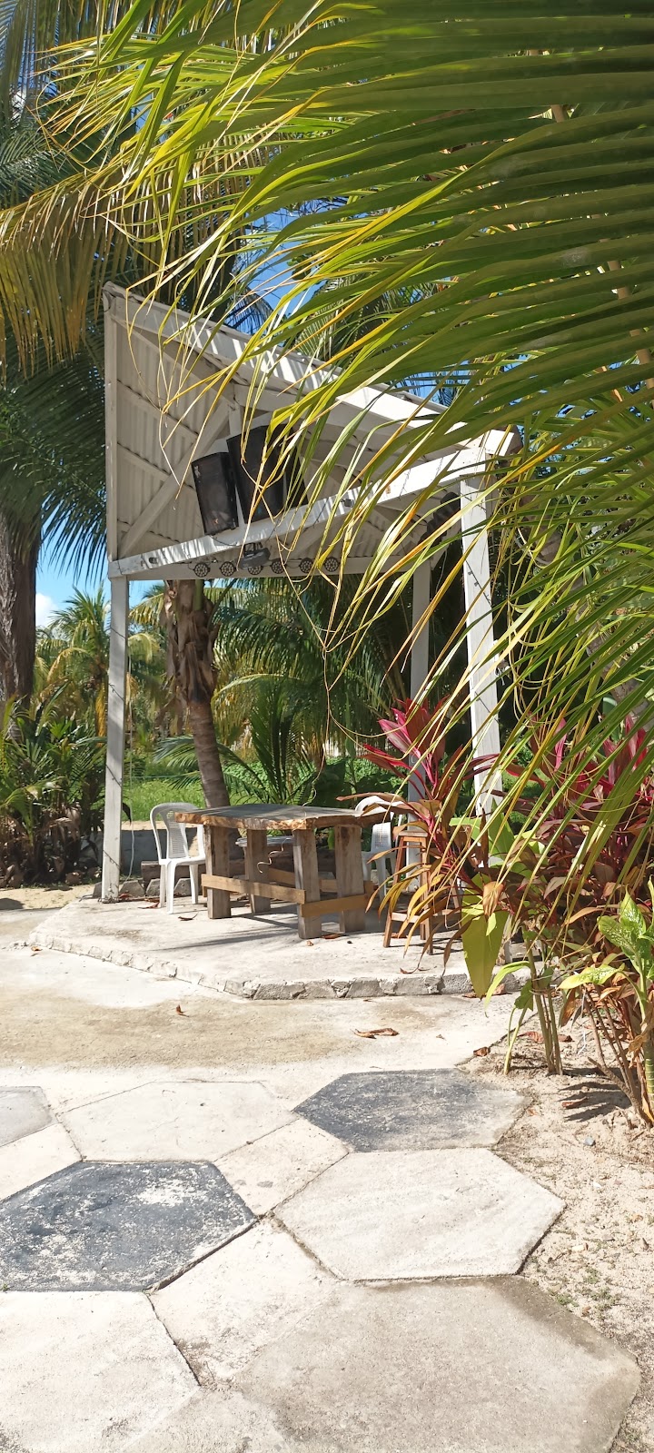 The Point at Placencia photo 8