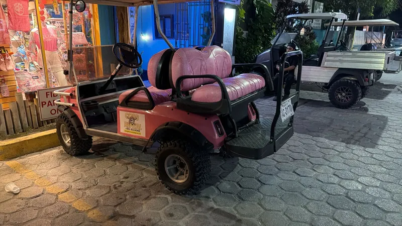 Heha Golf Cart Rentals photo 2