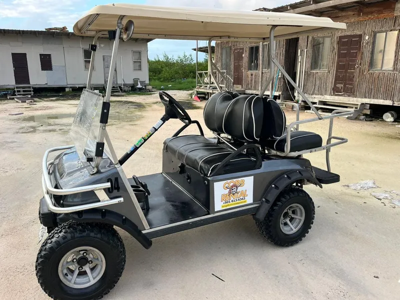 Heha Golf Cart Rentals photo 5
