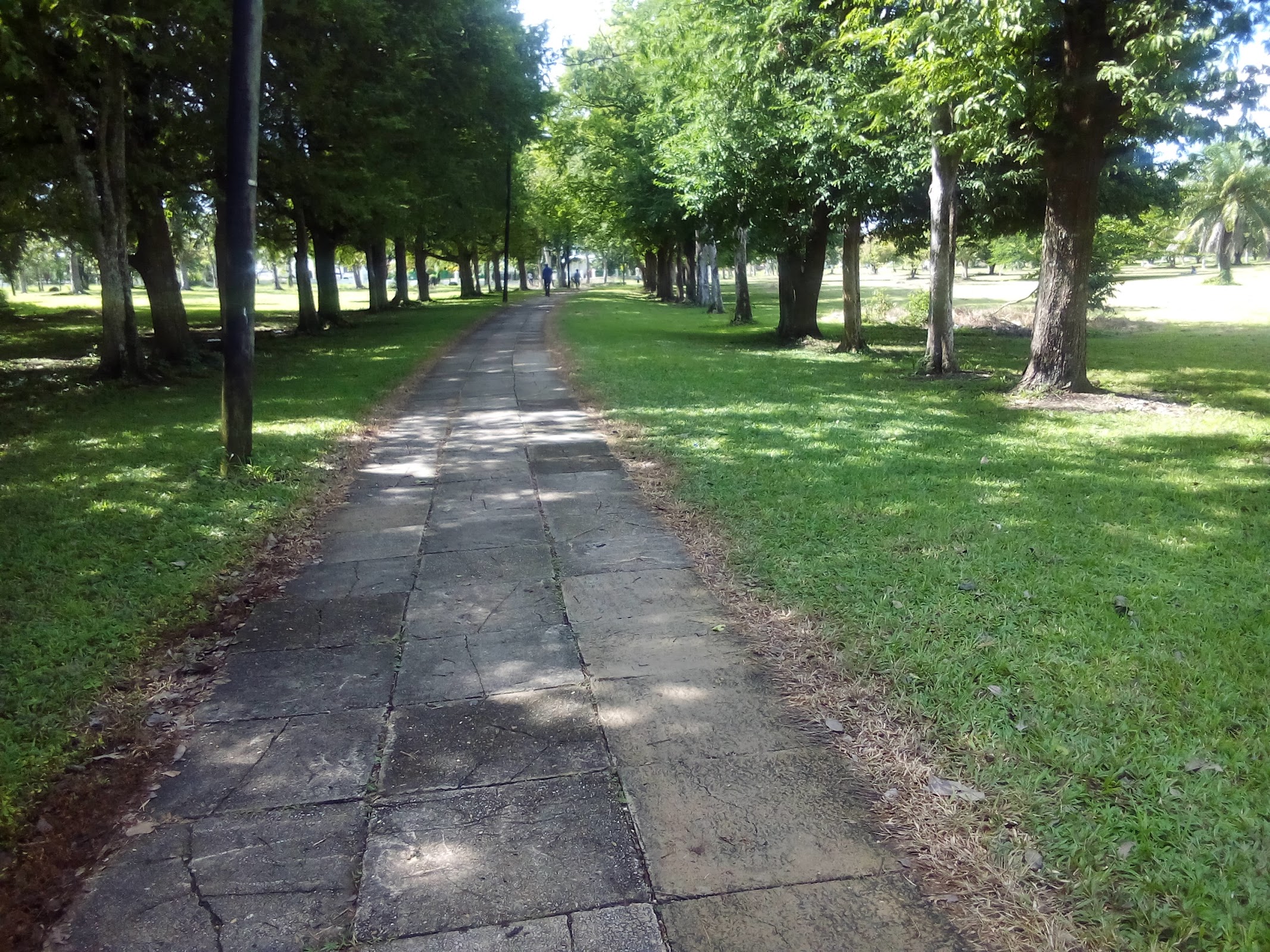 Independence Park photo 3