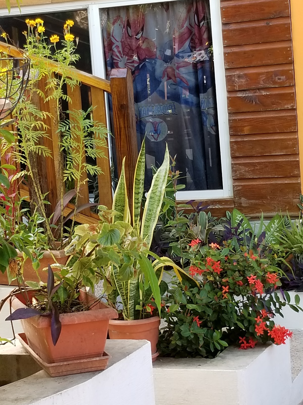 Sue’s secret home photo 5