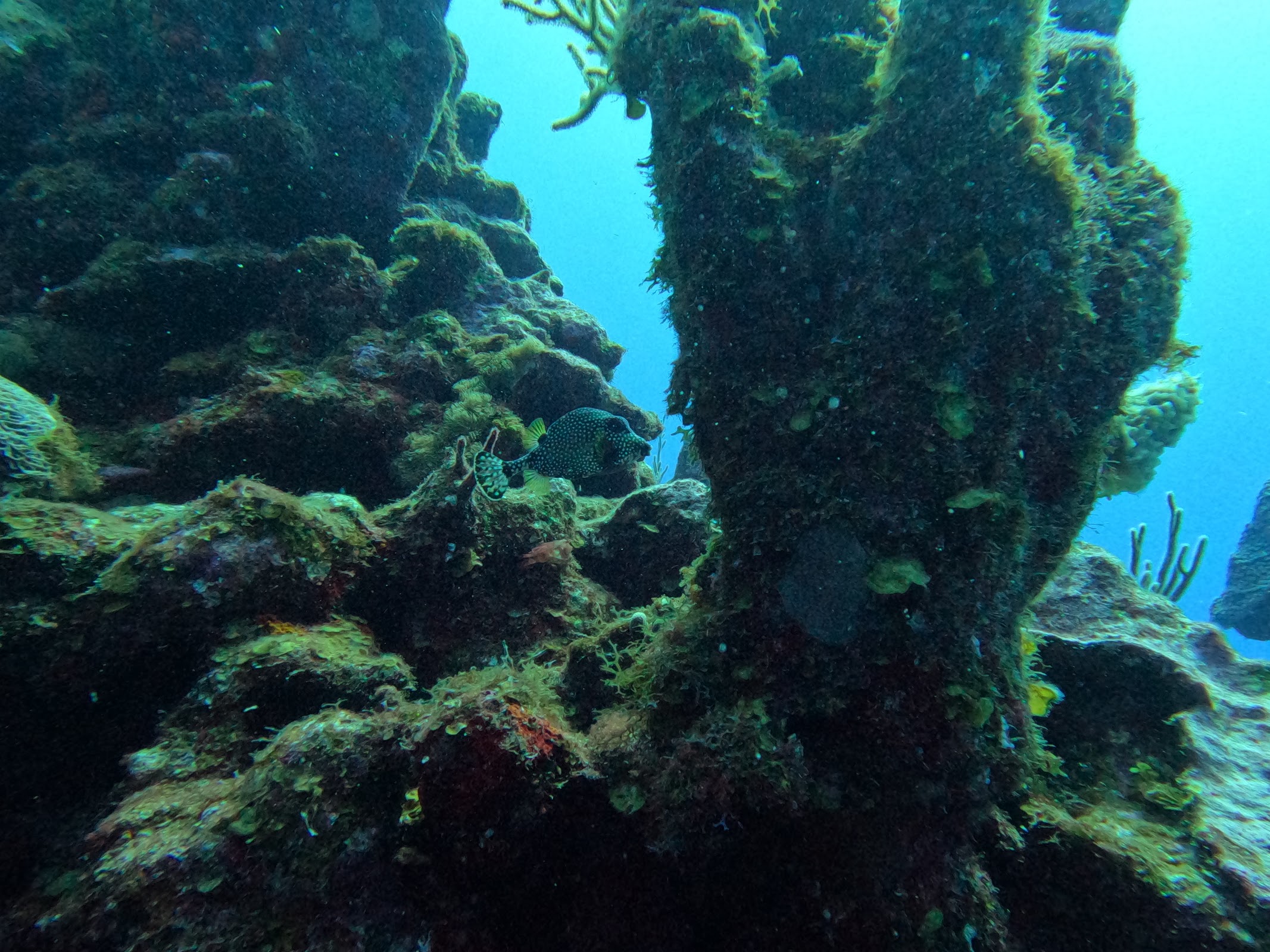 Paradise Canyons photo 7