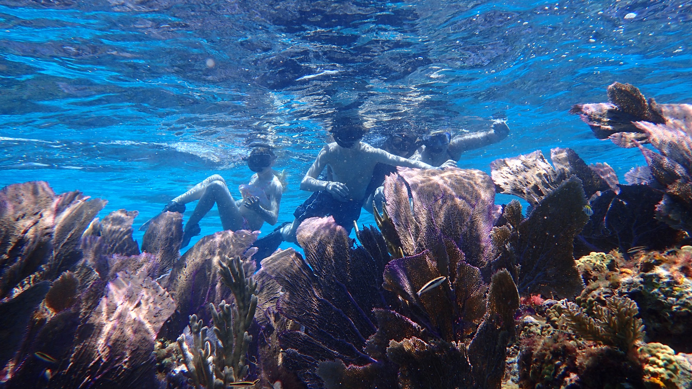 Three Seas Tours photo 4