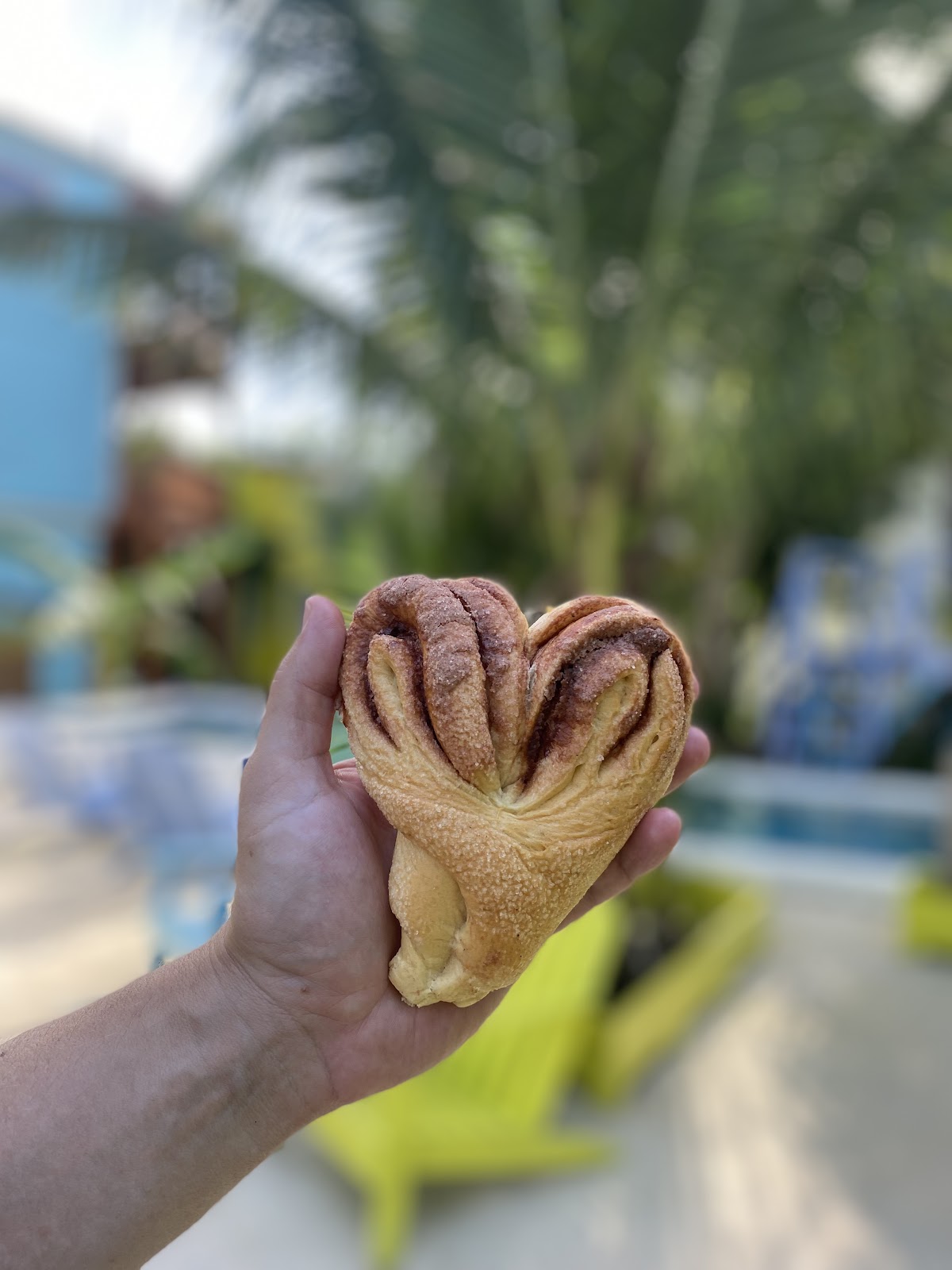 Caye Caulker Bakery photo 7
