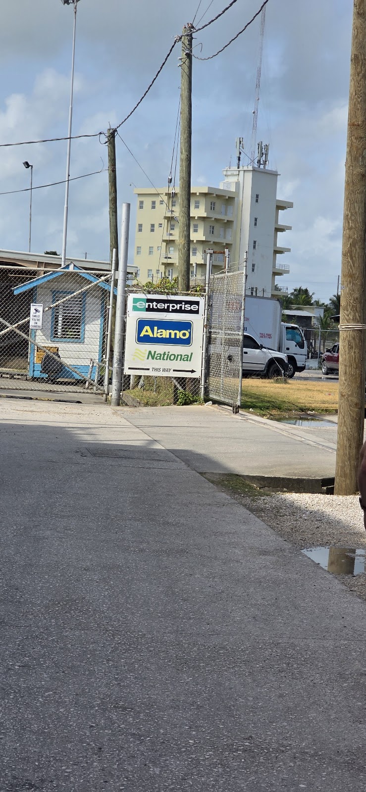 Alamo Rent A Car photo 3