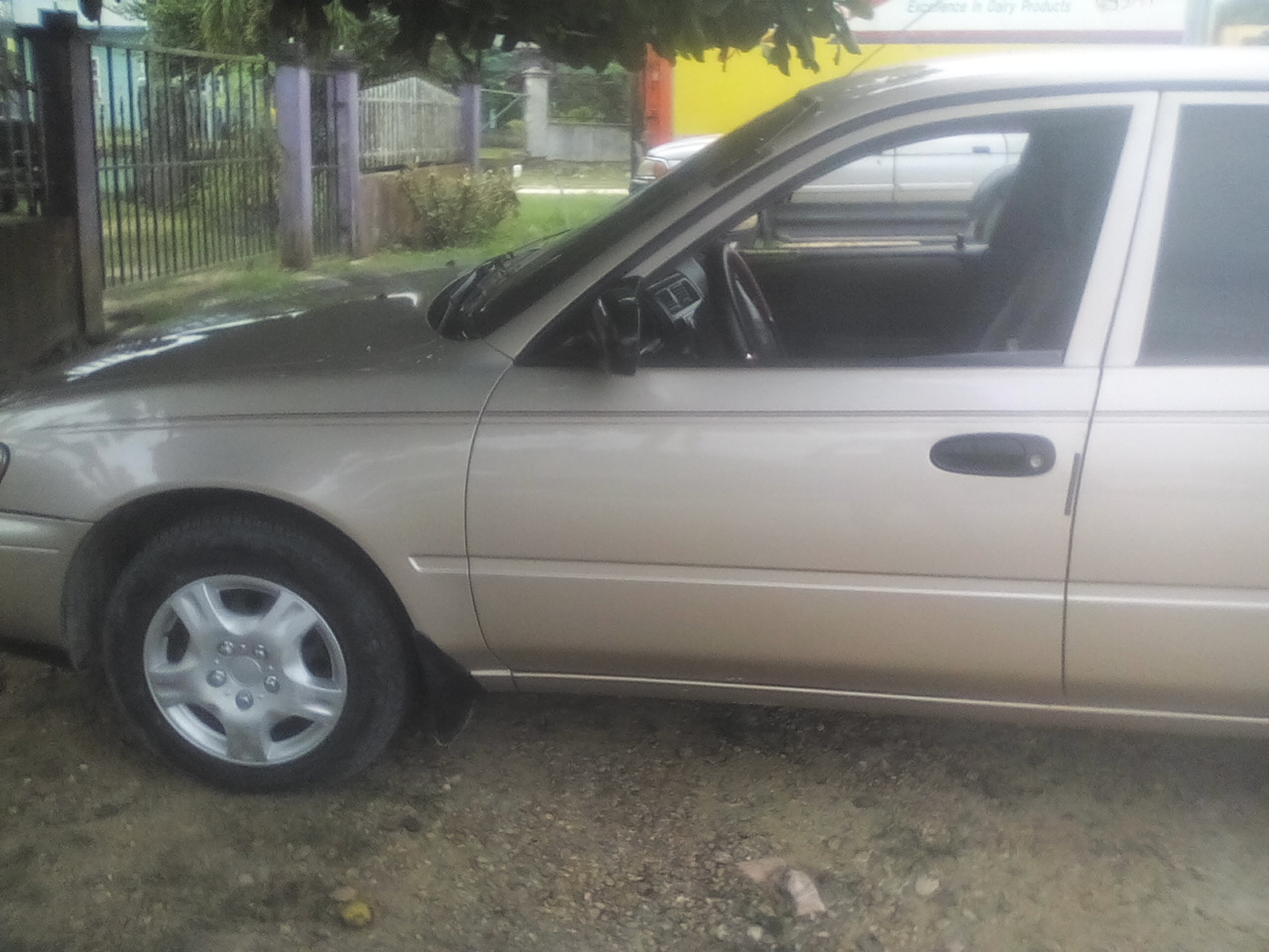 Belmopan Patty's taxi service 6248409 photo 2
