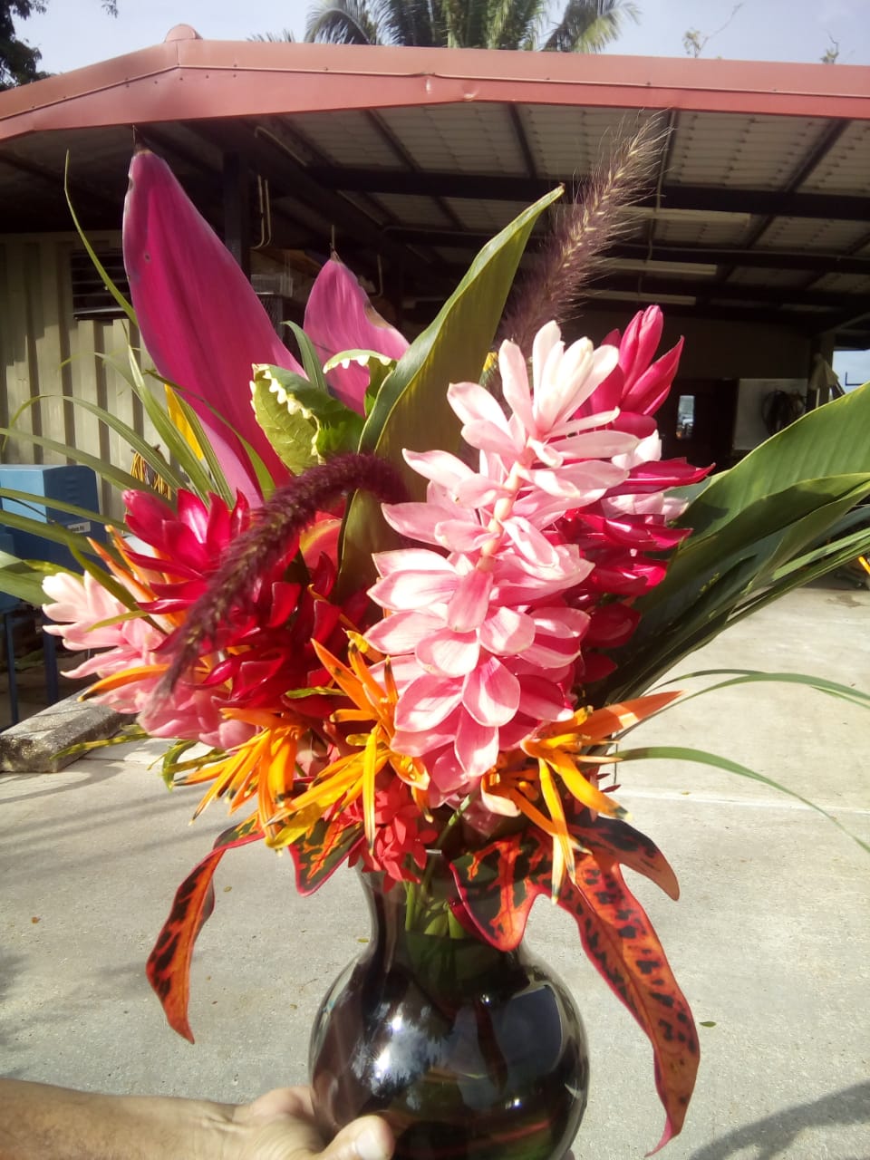 Belmopan Patty's taxi service 6248409 photo 4