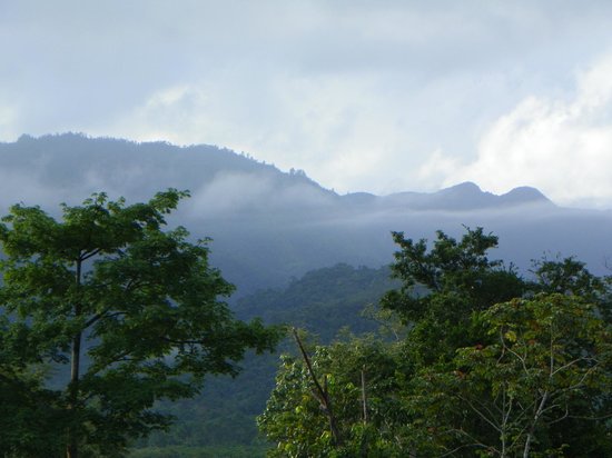 Sleeping Giant View Resort photo 7