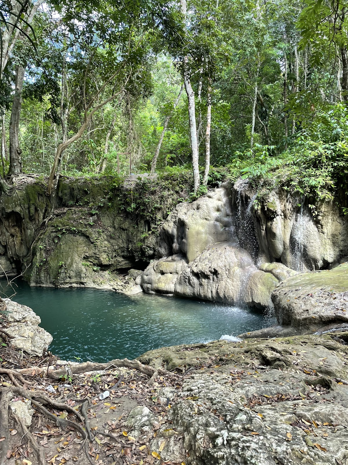 Shower Falls