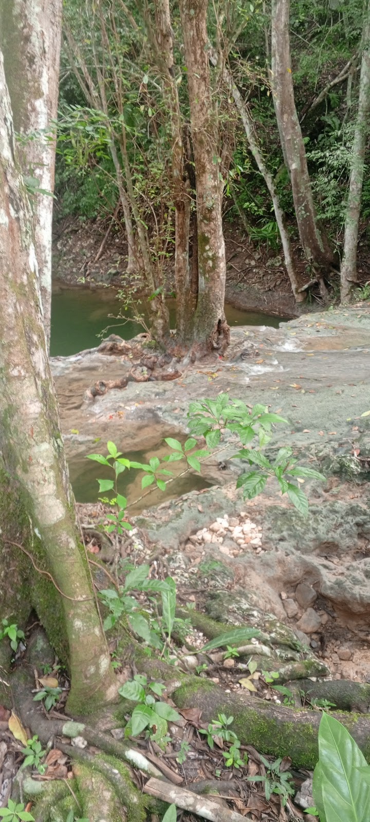 Shower Falls photo 4