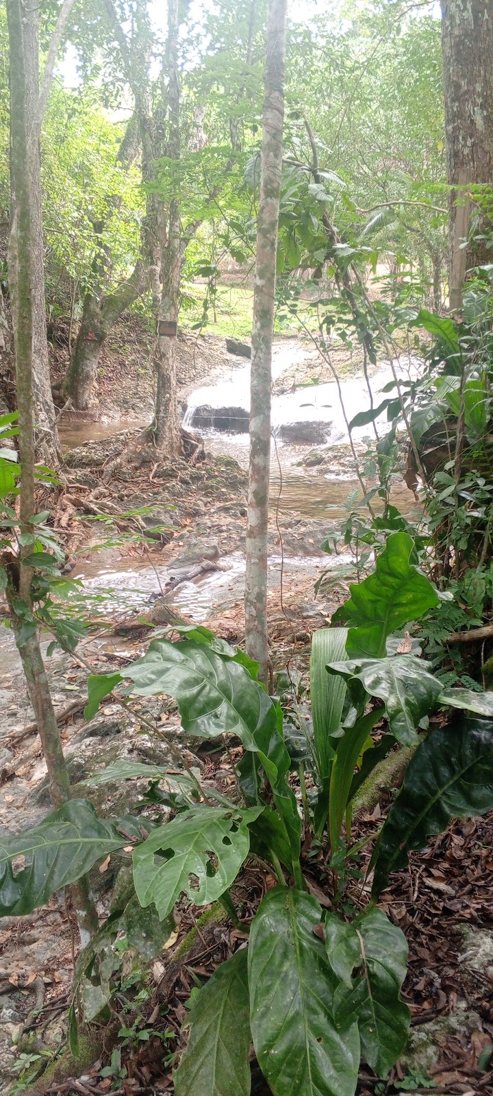 Shower Falls photo 6