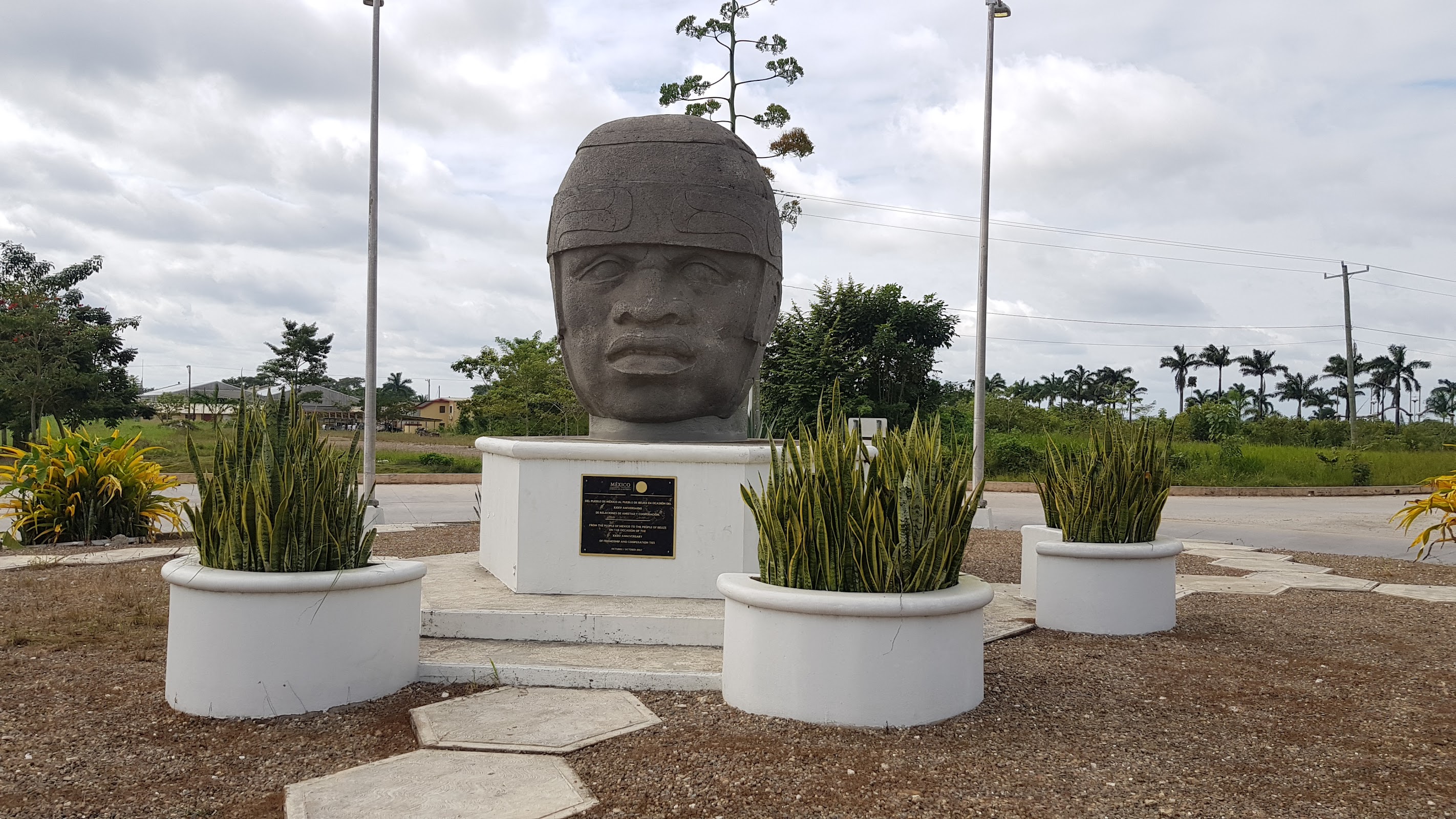 The Olmec Head photo 2