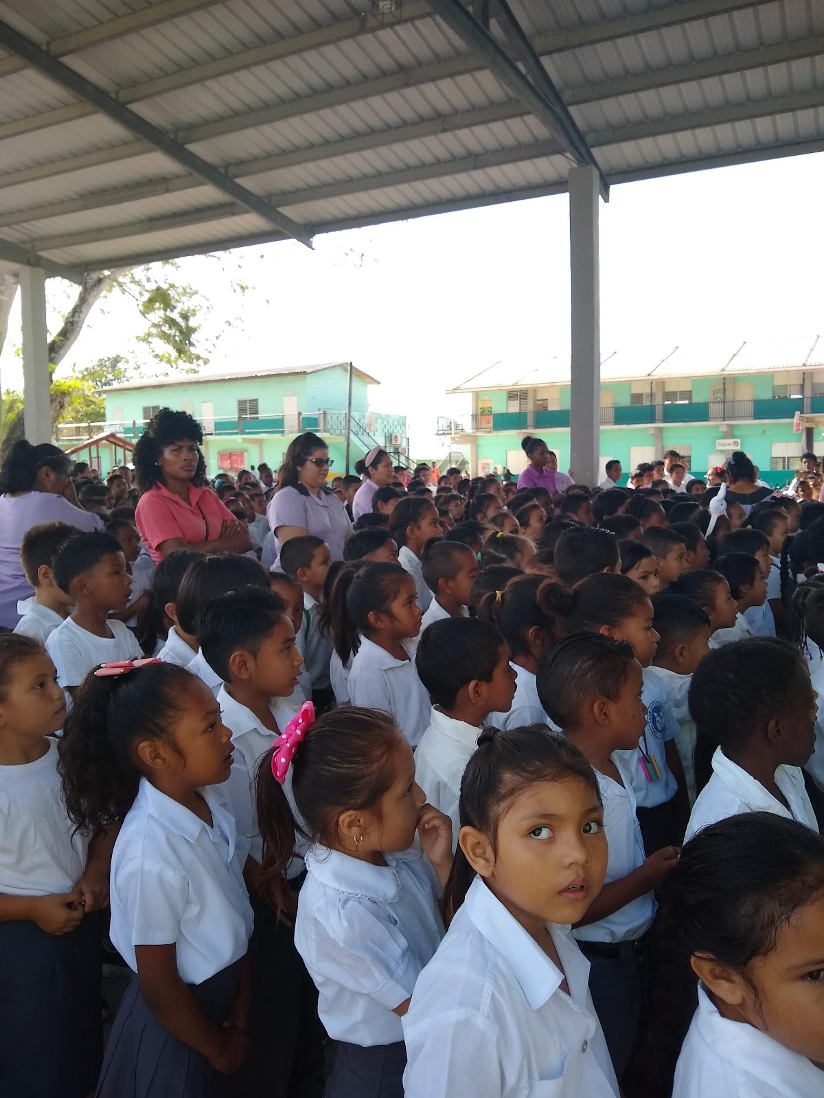 Trial Farm Government School photo 6