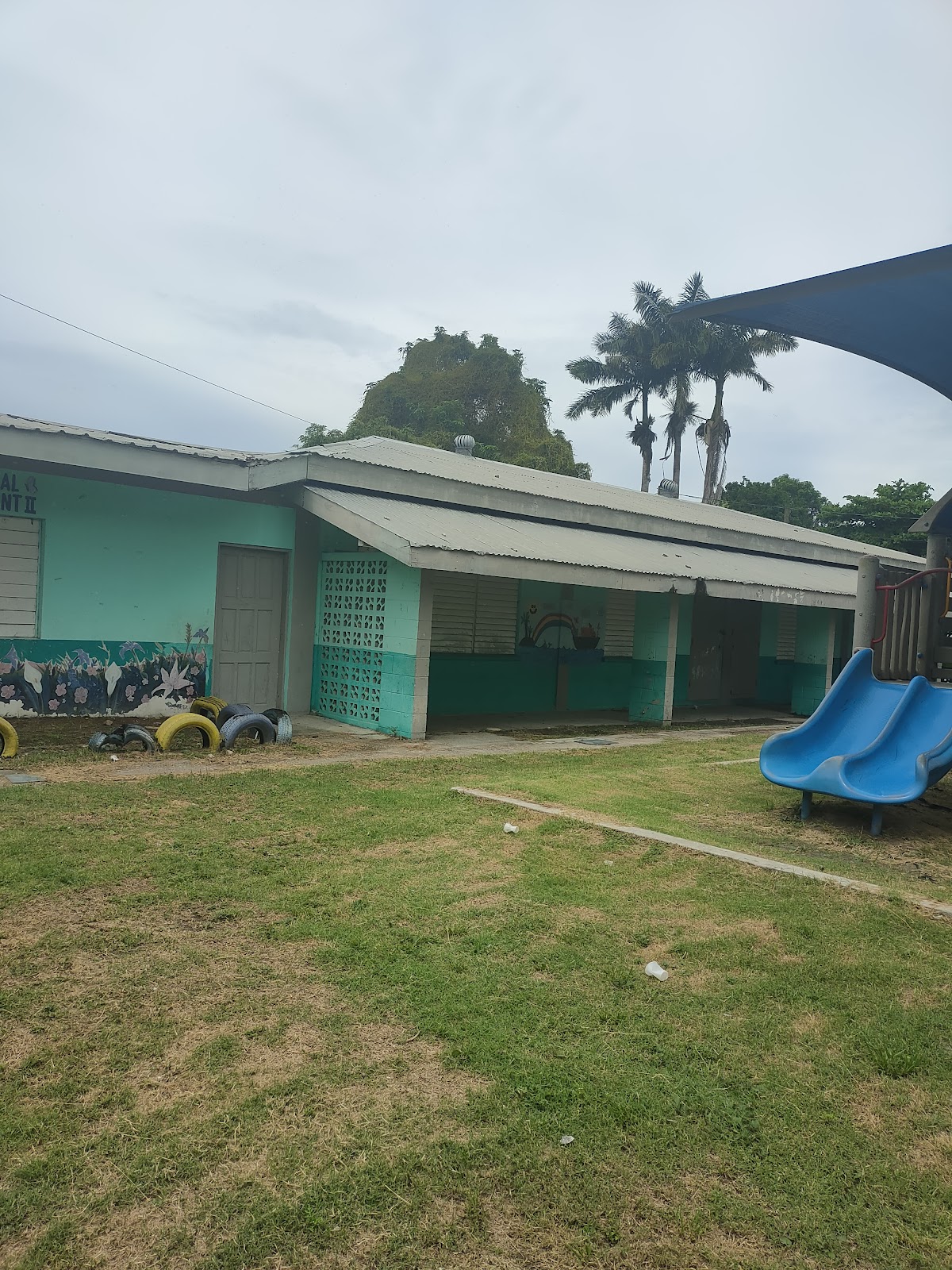 Trial Farm Government School photo 3