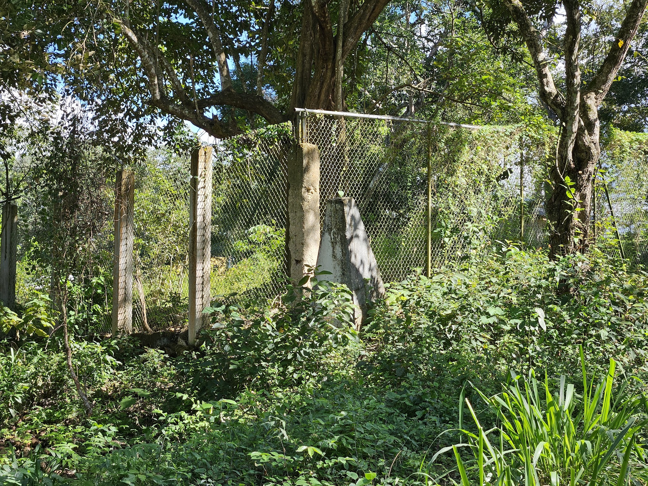 Belize-Guatemala Vertice photo 4