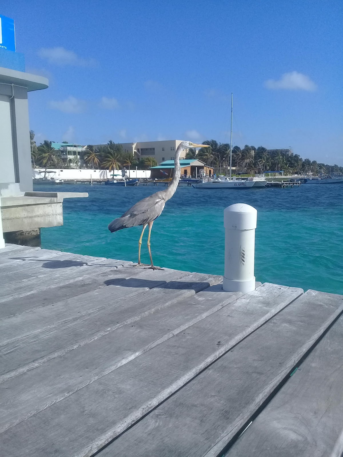 Caribeña Ent. Front Marina photo 2