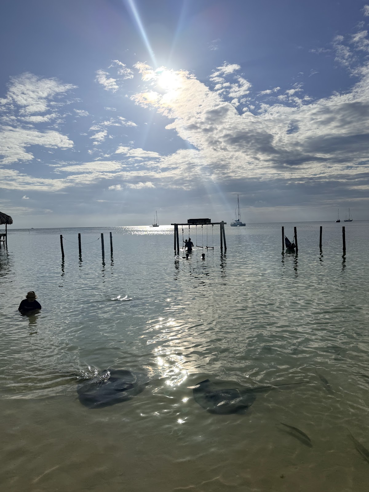 Iguana Reef Inn Beach Bar photo 2