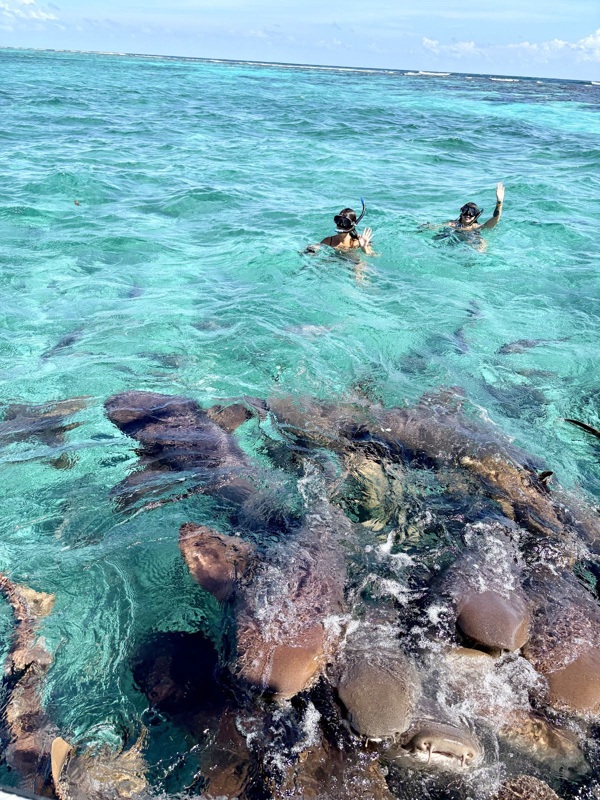 TnT Dive Pros photo 7