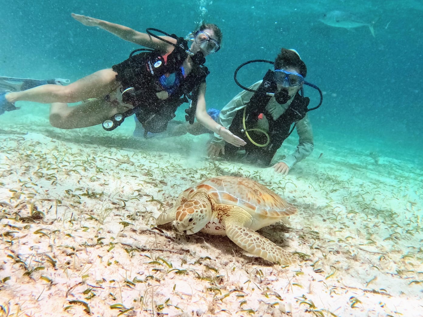 TnT Dive Pros photo 3