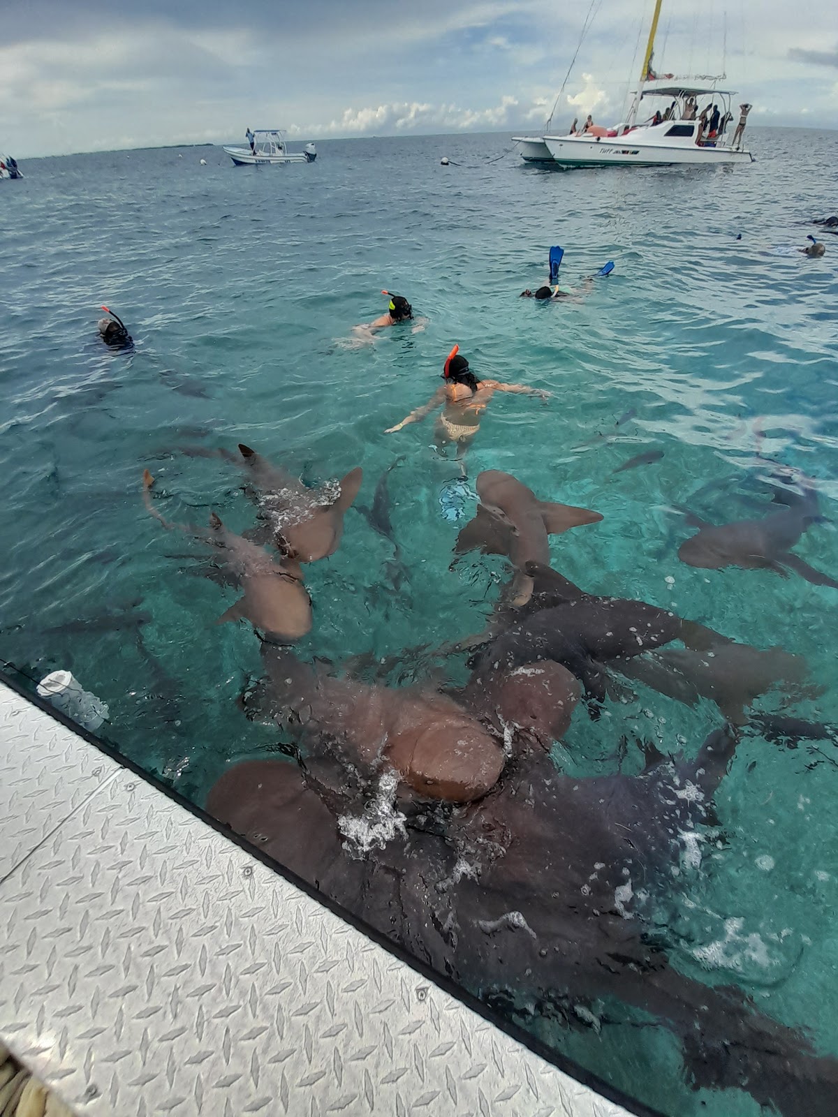 TnT Dive Pros photo 4