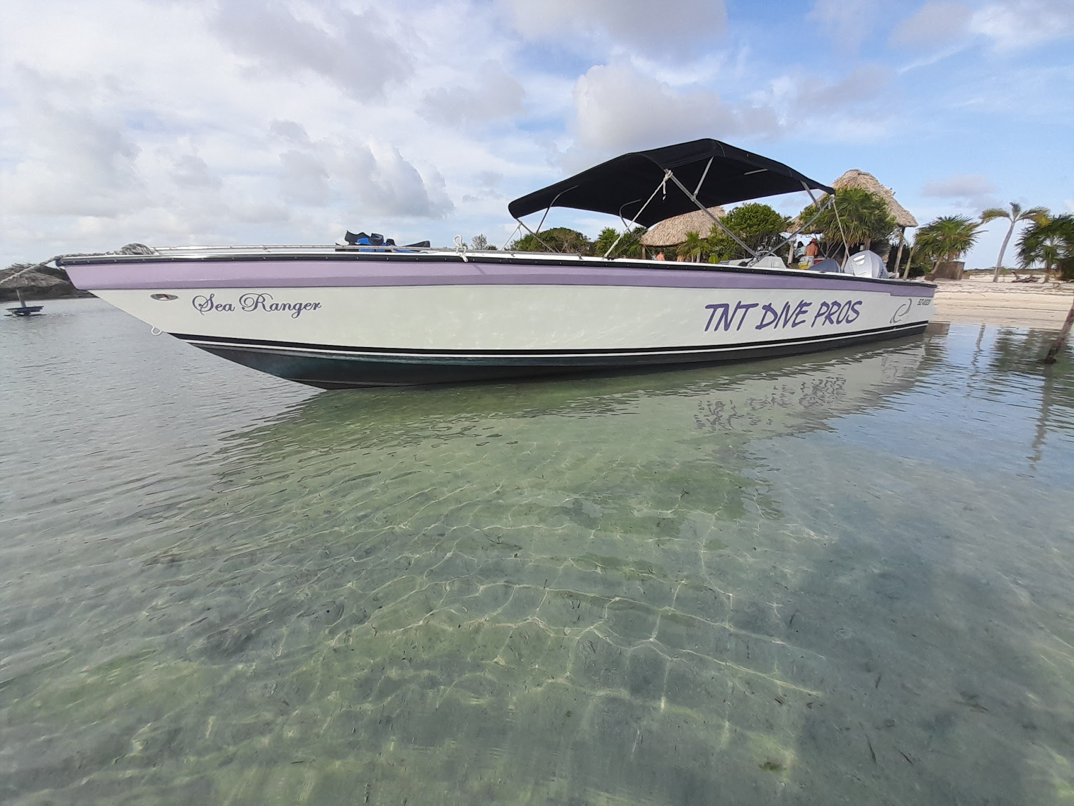 TnT Dive Pros photo 5