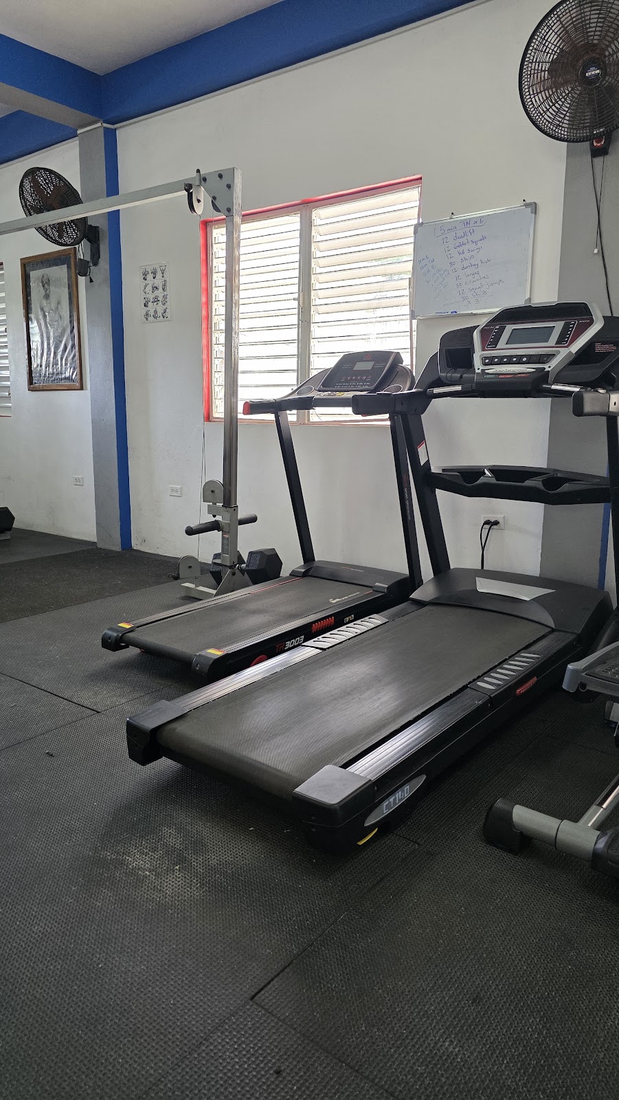 Placencia Gym Fitness Club photo 3