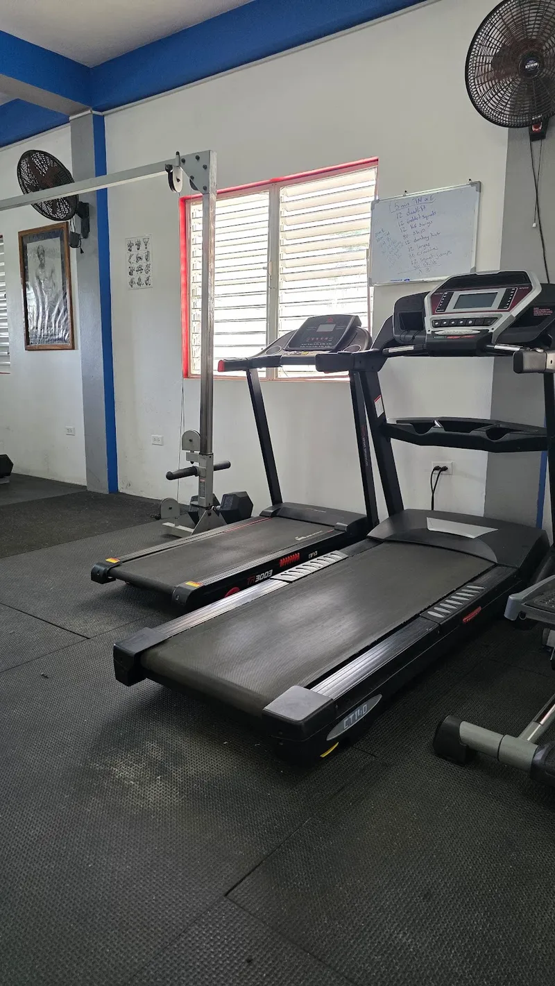 Placencia Gym Fitness Club photo 3