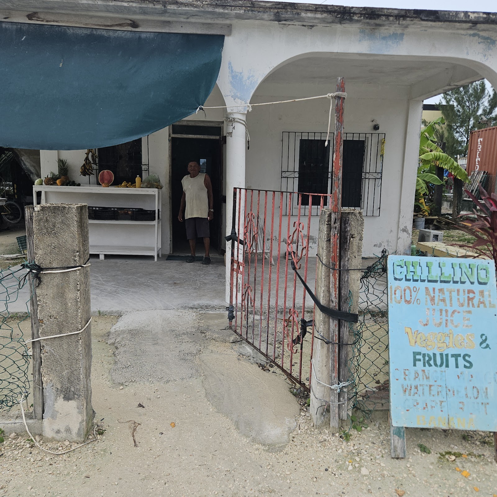 DALIA'S FRUIT SHOP photo 2