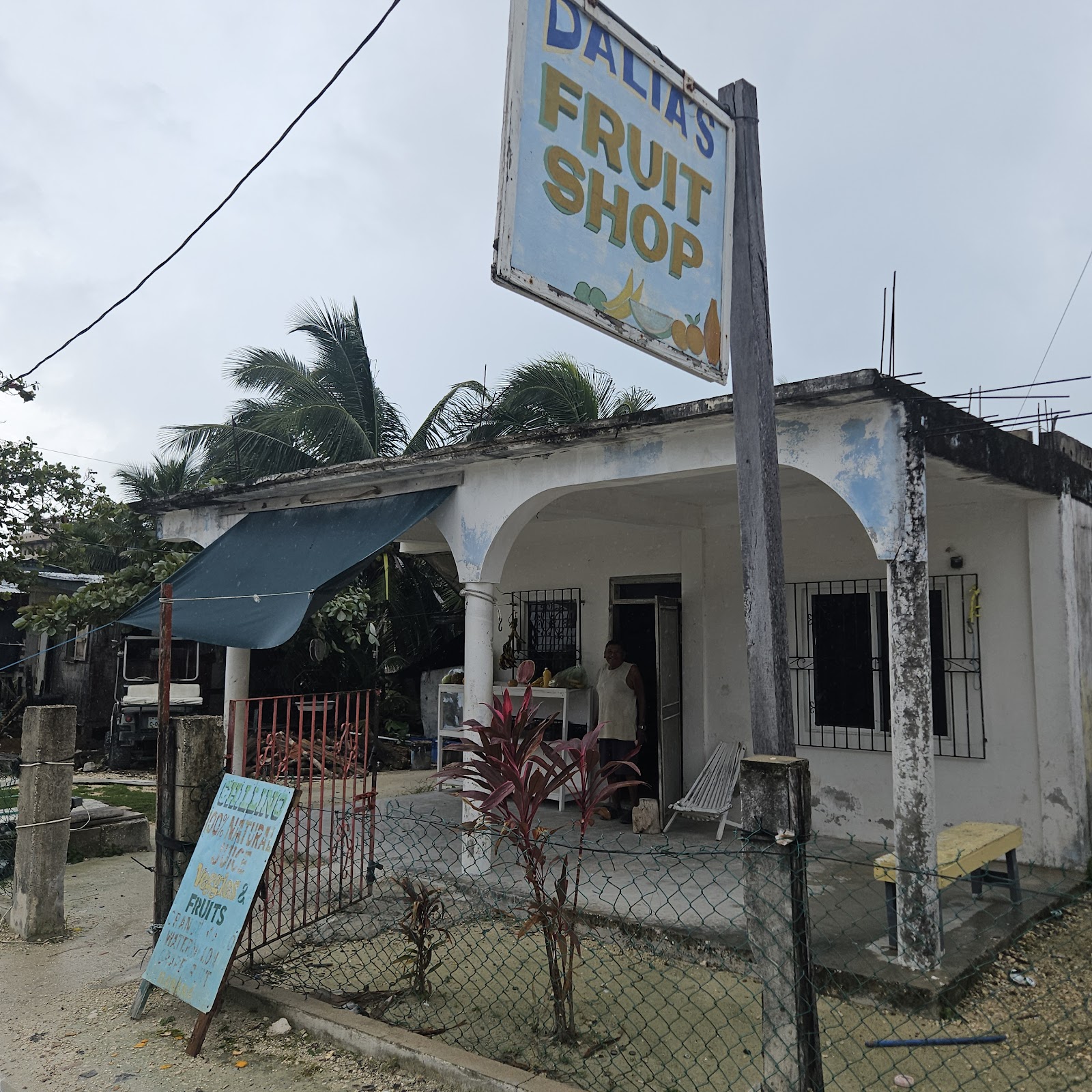 DALIA'S FRUIT SHOP