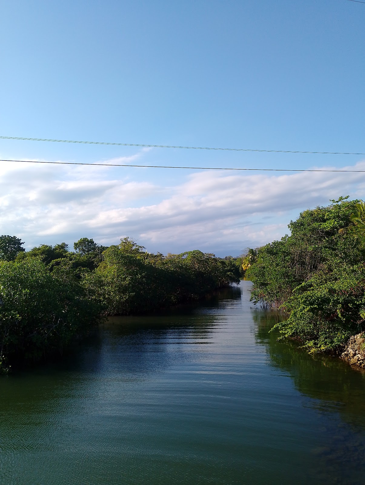 Garbutt's Fishing Lodge photo 6