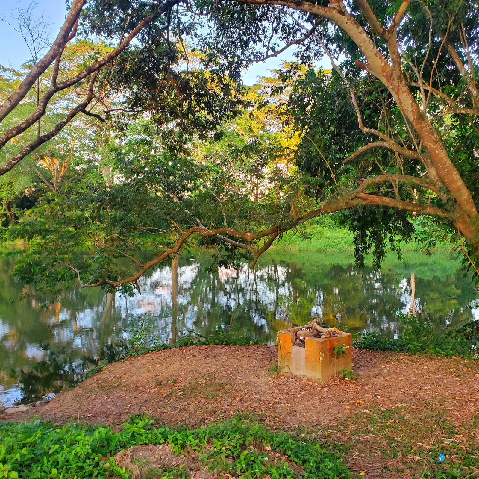 Branch Mouth Park photo 8