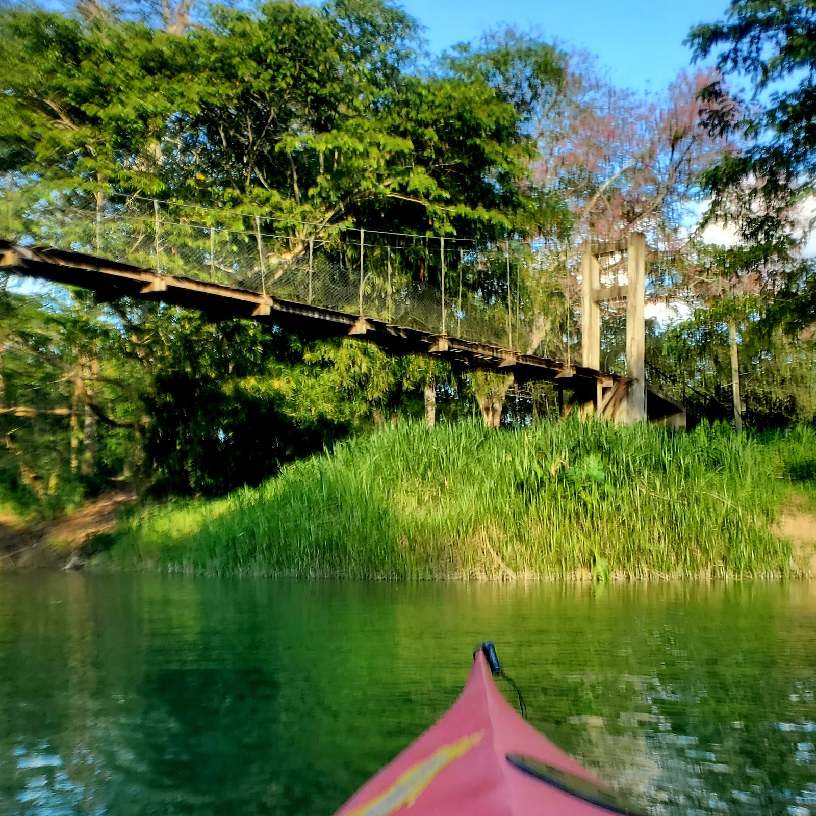 Branch Mouth Park photo 7