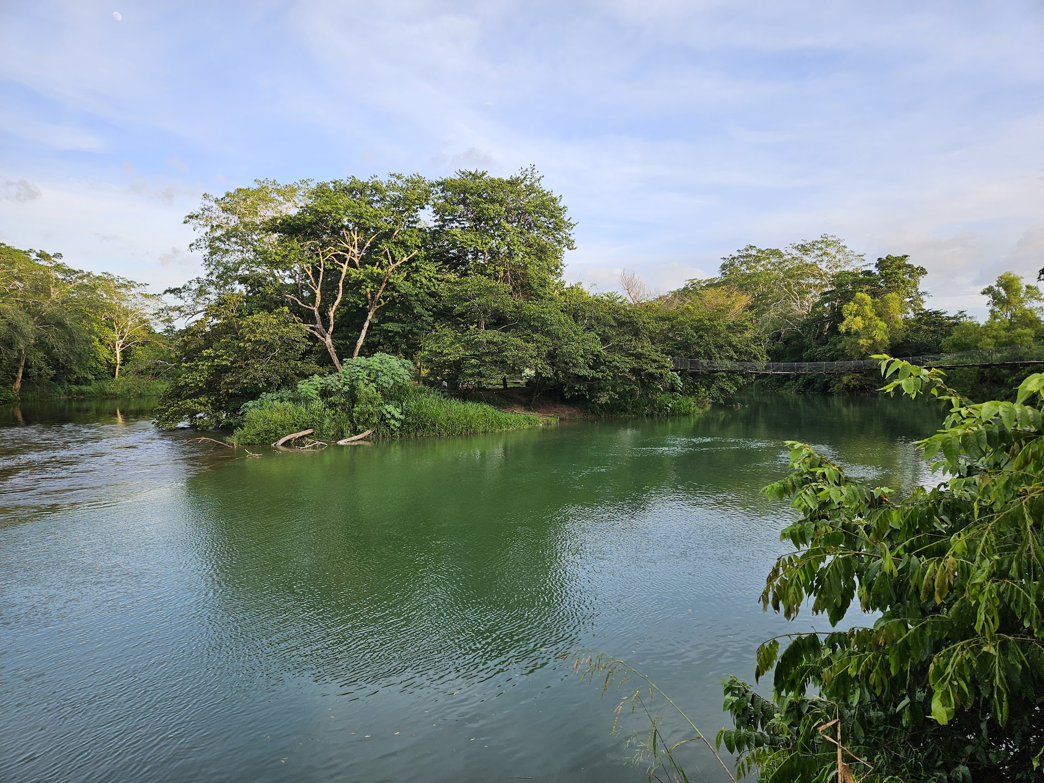 Branch Mouth Park