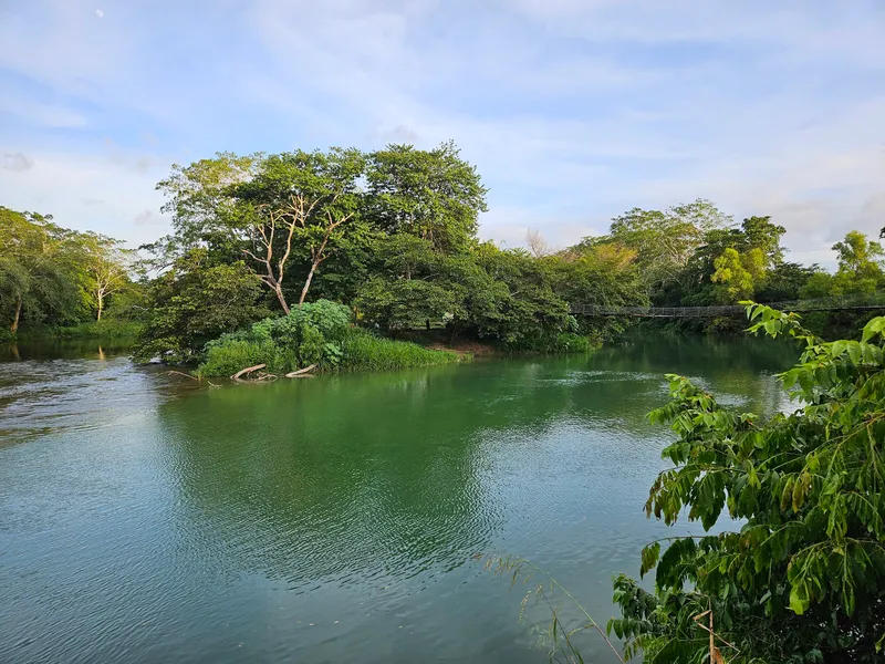 Branch Mouth Park