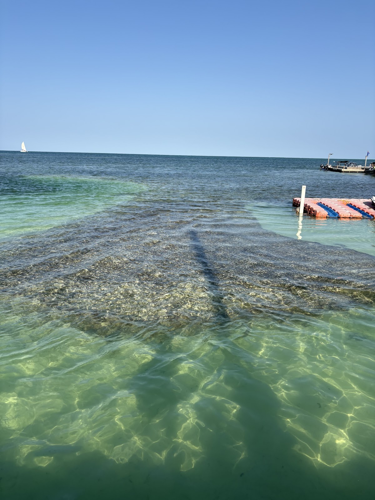 Reef Watersports photo 3