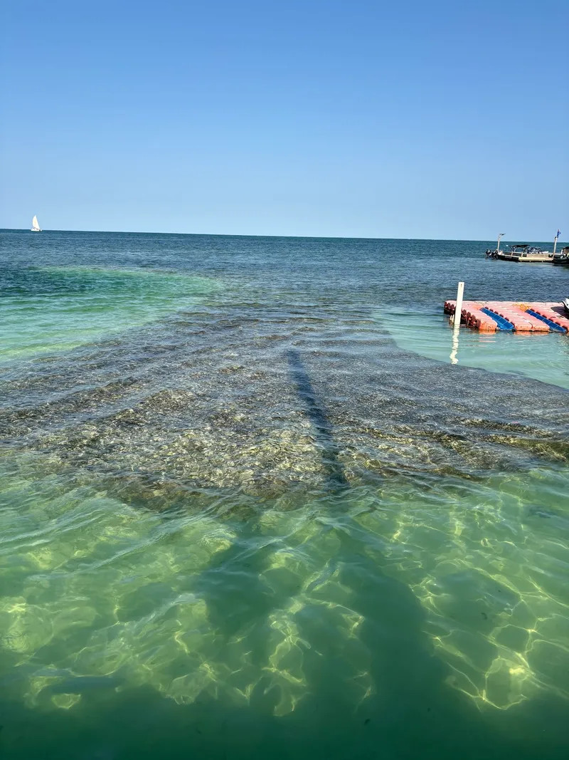 Reef Watersports photo 3