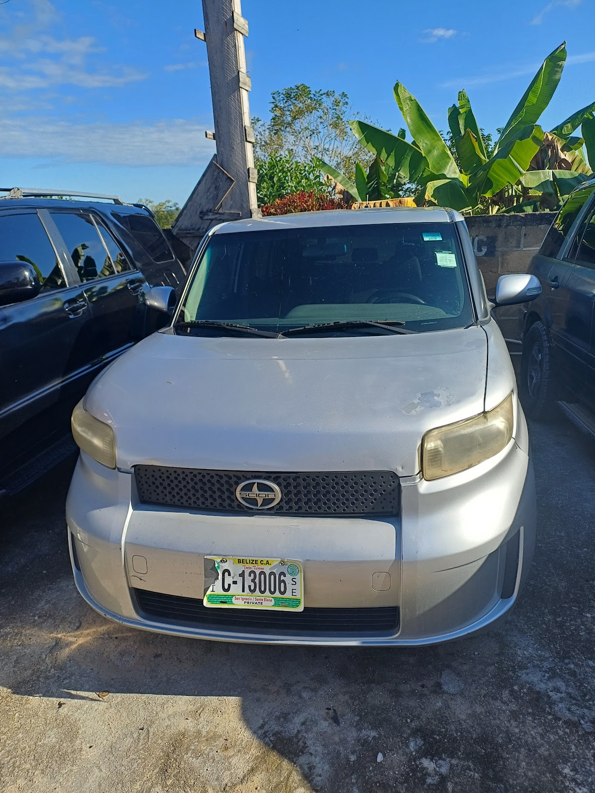 Matus Car Rental photo 3