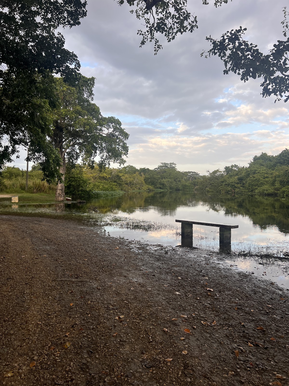 Botanical Park photo 3