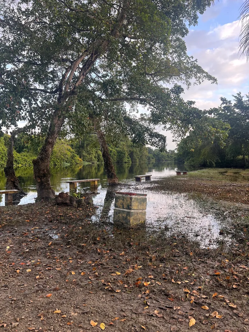 Botanical Park