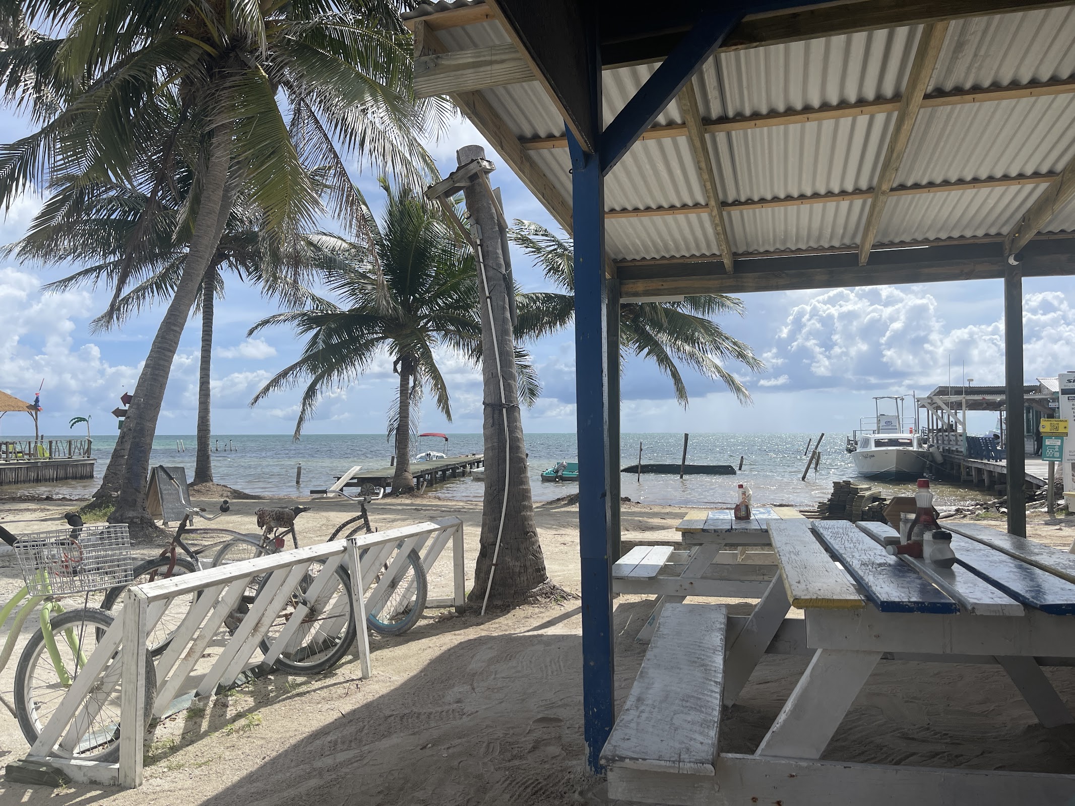 Caye Breeze Cafe photo 6