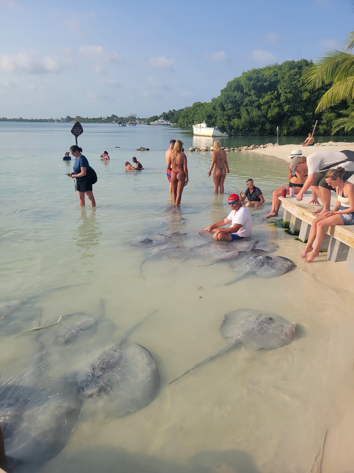 Stingray beach photo 7