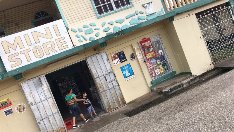 Mini Store