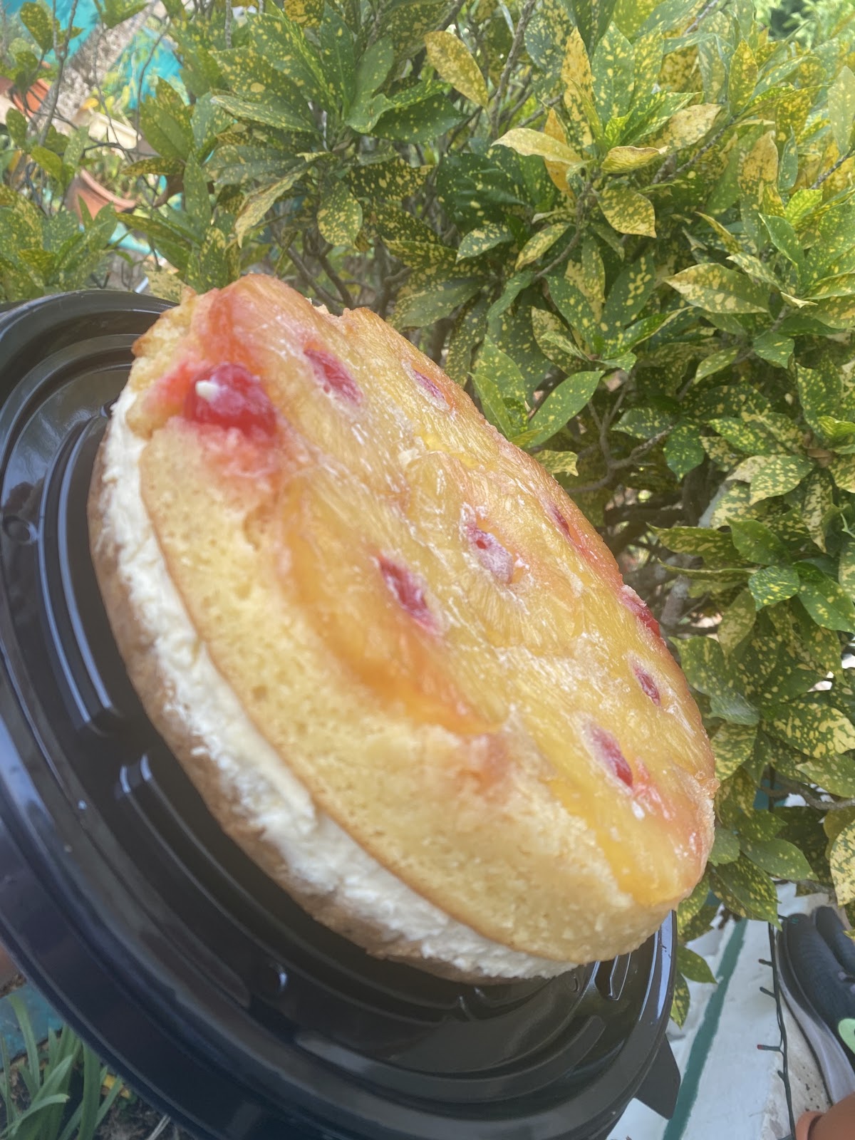Sweet Kneads photo 7