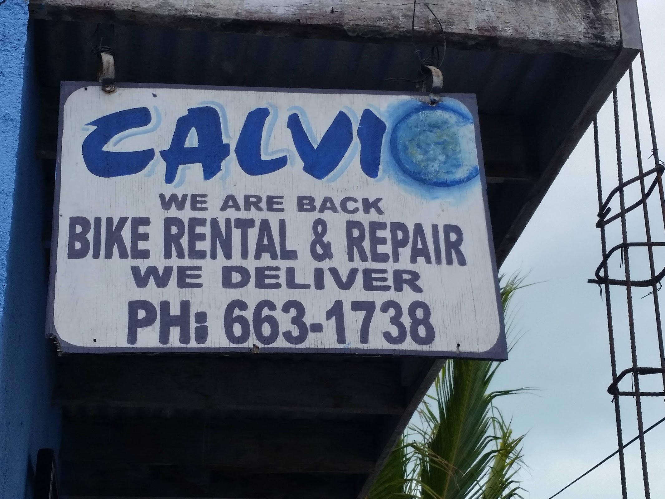 Beach Cruiser Bike Rentals and Ice Cream photo 6