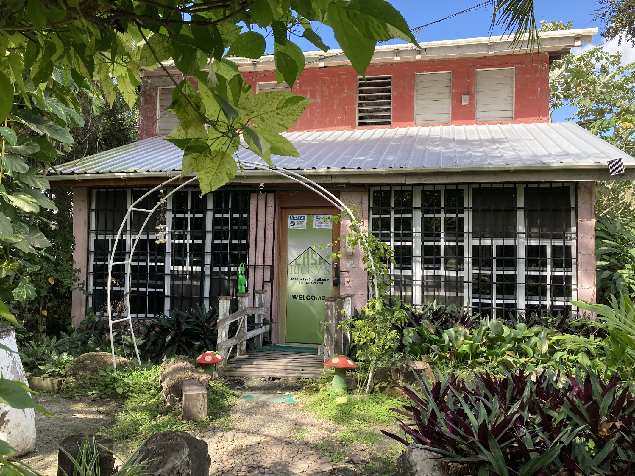 Casa Ricky's photo 3