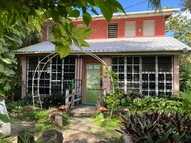 Casa Ricky's photo 3