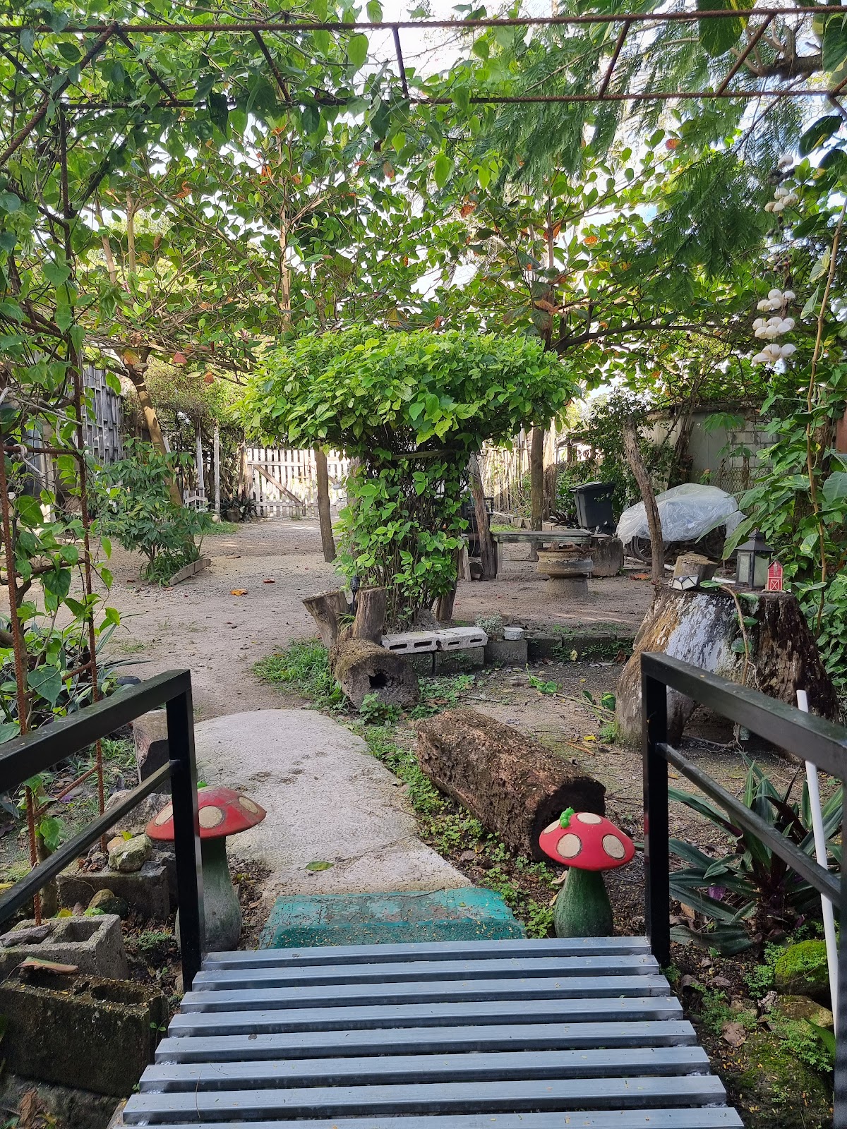 Casa Ricky's photo 6
